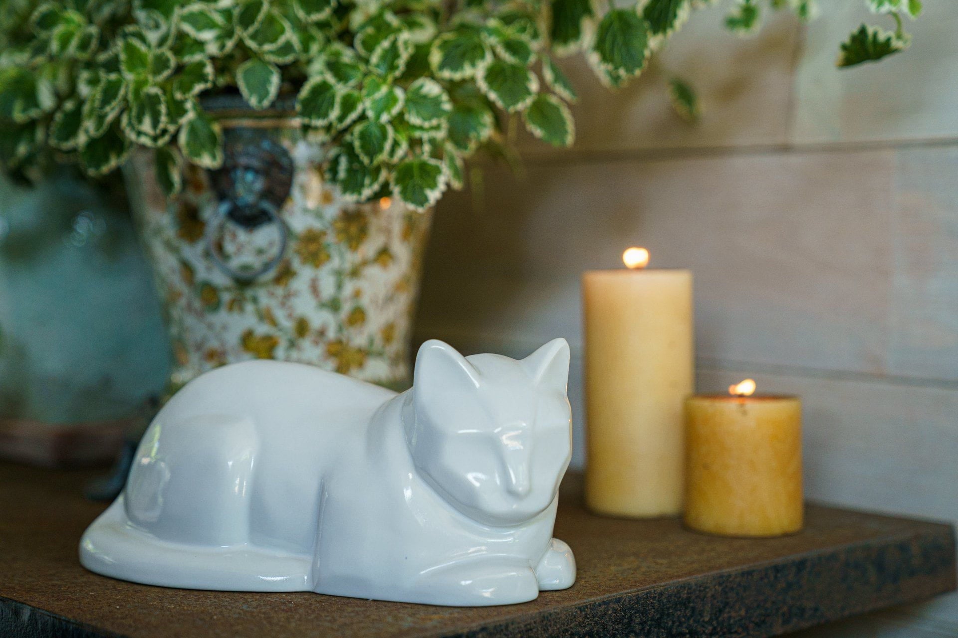 Cat Cremation Urn for Ashes - White | Ceramic | Handmade