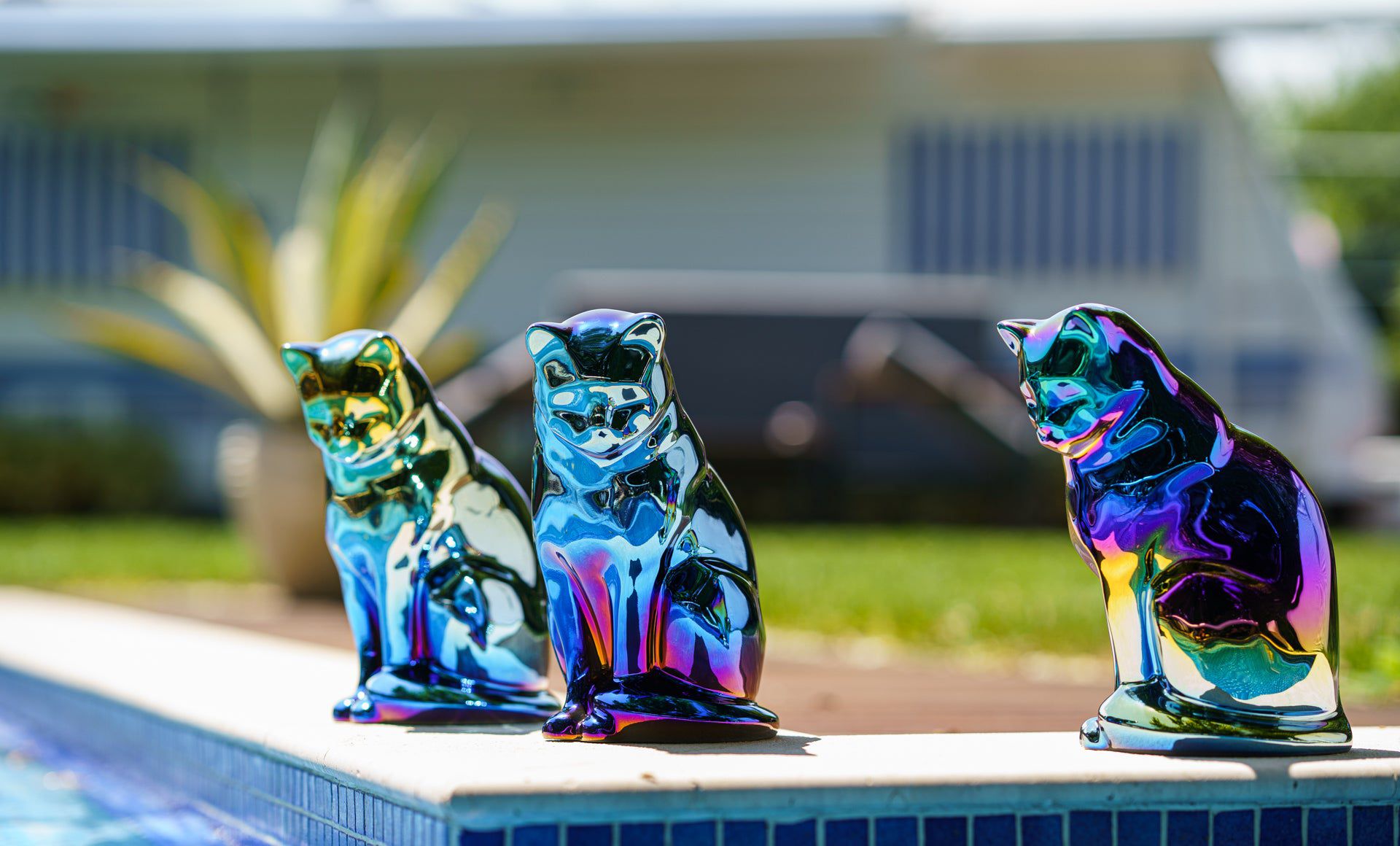 Pulvis Art Urns Pet Urn Neko Pet Urn for Ashes - Glossy Blue | Ceramic | Handmade