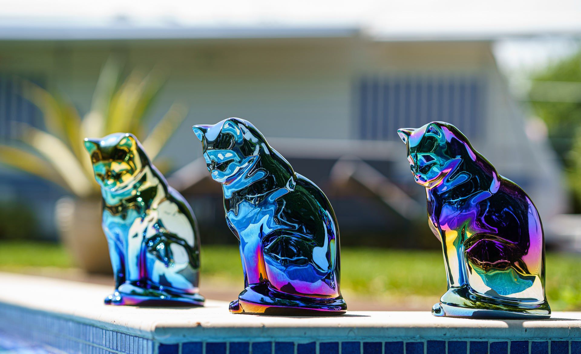 Pulvis Art Urns Pet Urn Neko Pet Urn for Ashes - Rainbow Chrome | Ceramic | Handmade