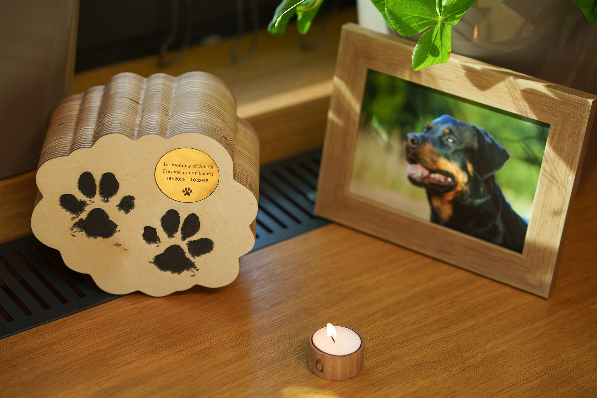 Pulvis Art Urns Pet Urn Paws from Heaven Pet Urn - Plywood | Handmade