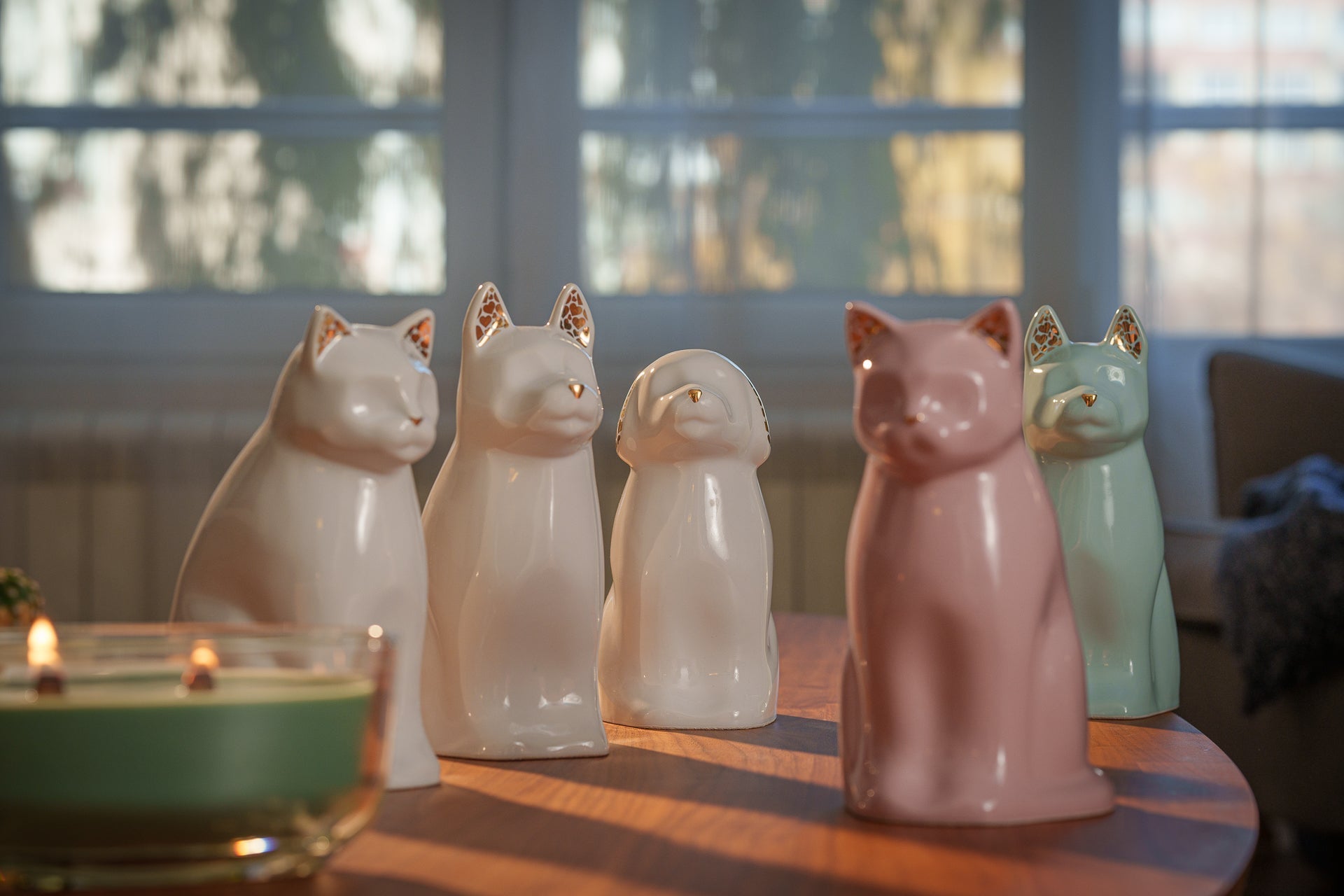 Pet Cremation and Memorial Urns for Remembrance