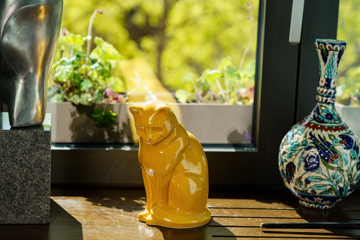 The Pet Funeral Is Changing: What Modern Goodbyes Look Like