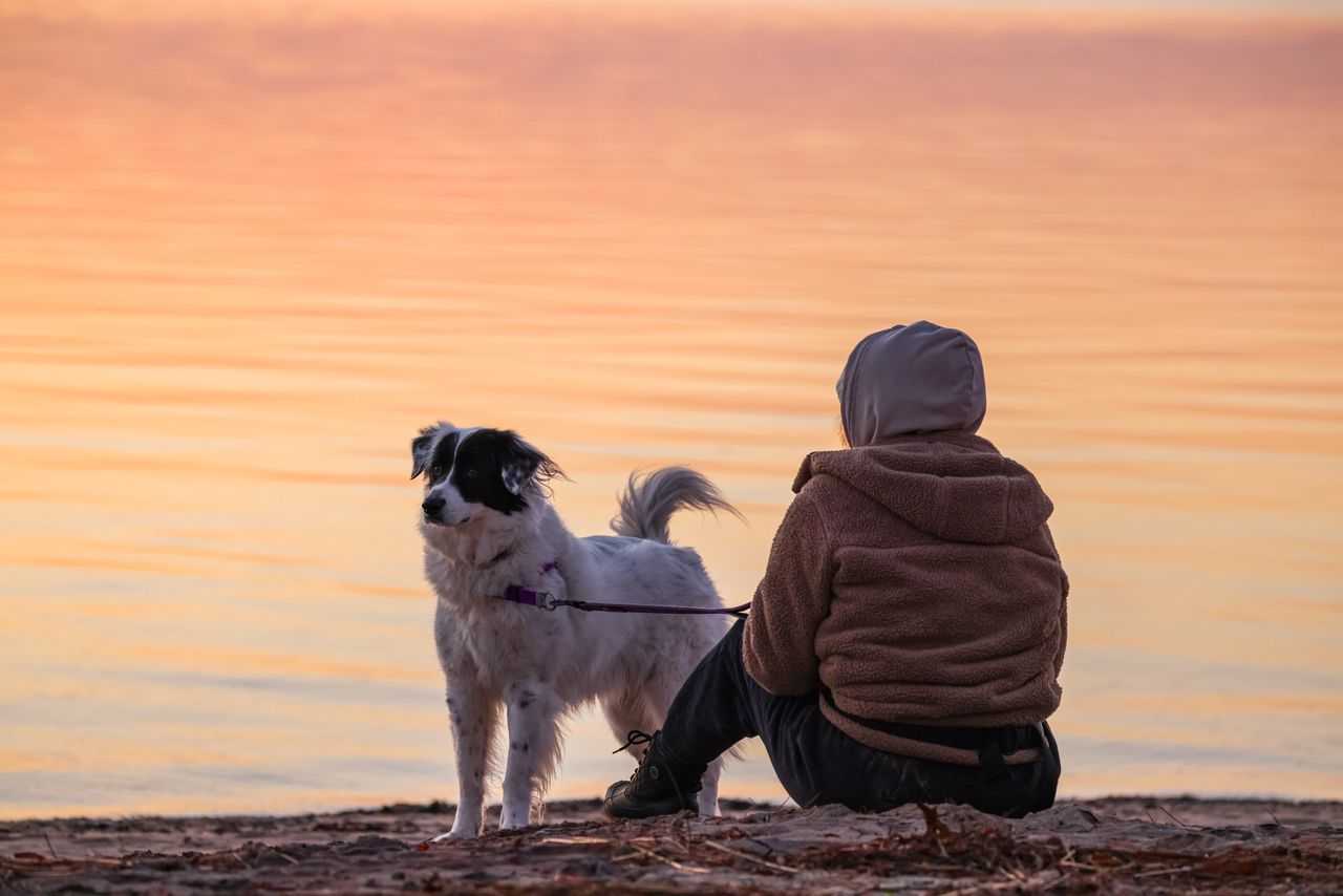 Discover the differences between human and pet urns, including sizes, materials, personalization options, and memorial practices to choose the perfect cremation urn for a meaningful tribute.