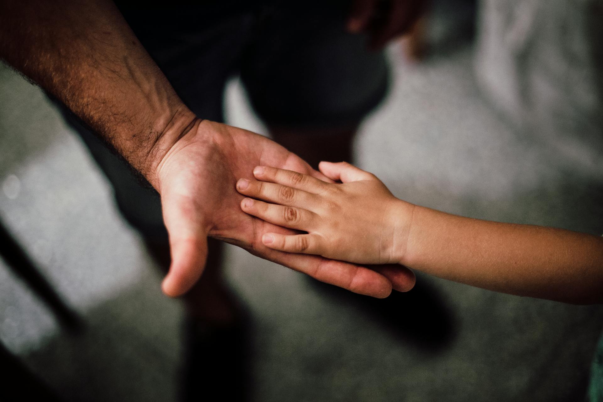 The Eternal Vessel: When an Urn Becomes a Family Heirloom Across Generations