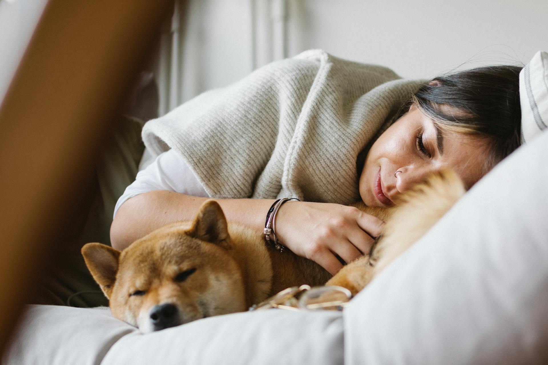 15 Meaningful Ways to Honour Your Pet's Ashes