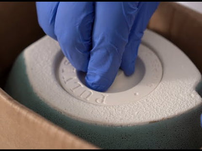 Pulvis Art Urns Adult Size Urn Handmade Cremation Urn "Zephyr" - 