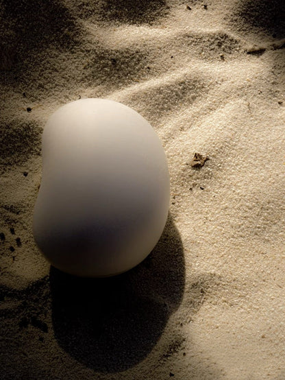 Biodegradable Pet Urn "Peanut" | Customizable Burial Memorial for Pets