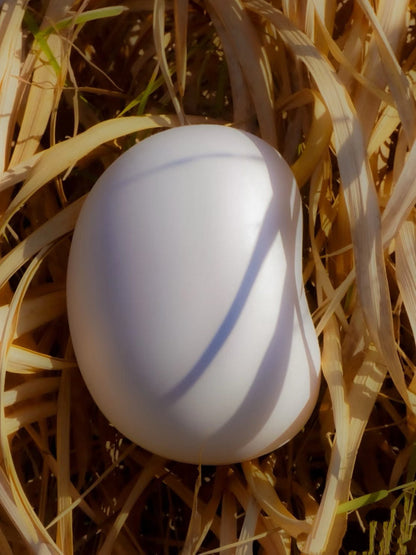 Biodegradable Pet Urn "Peanut" | Customizable Burial Memorial for Pets