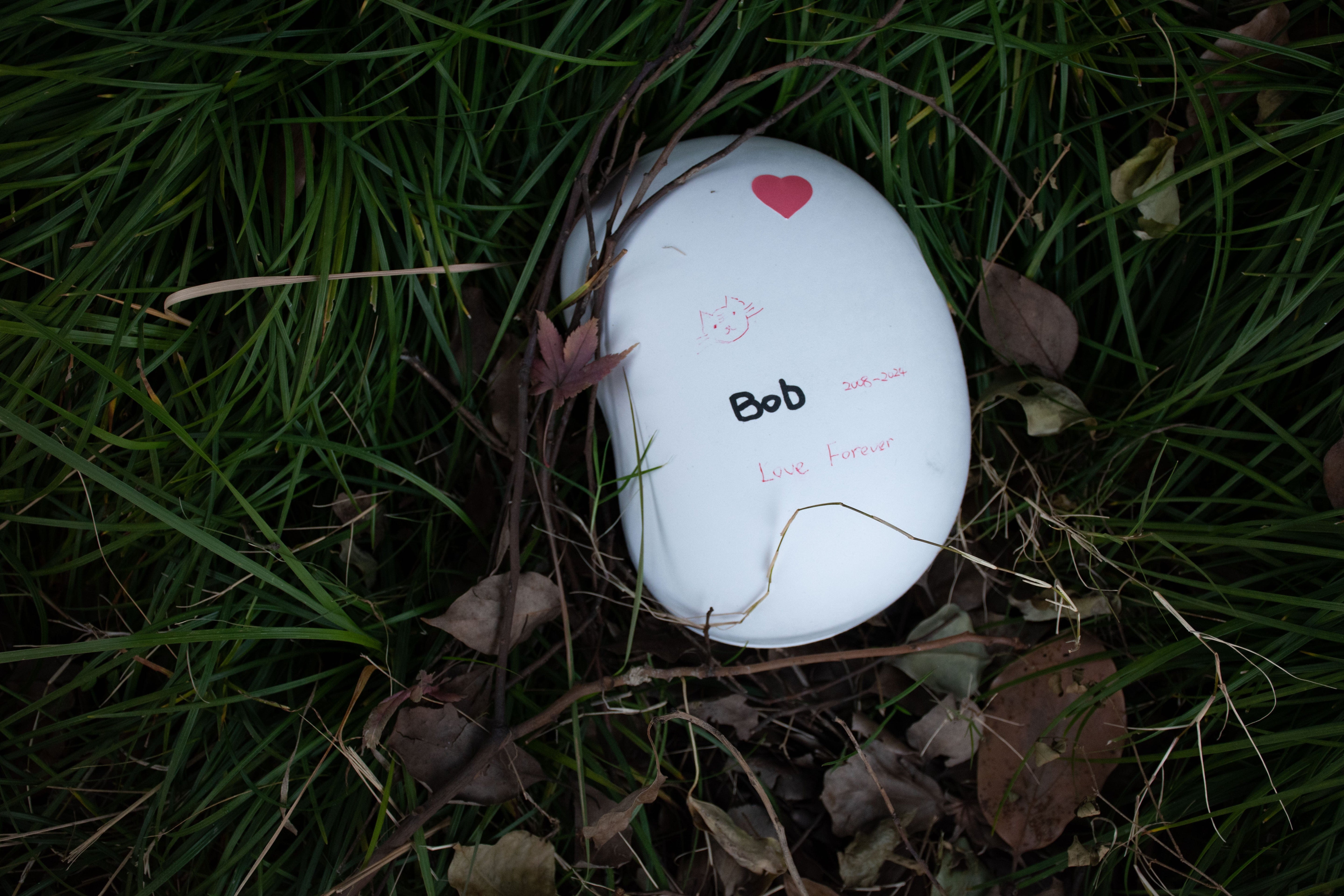 Biodegradable Pet Urn "Peanut" | Customizable Burial Memorial for Pets