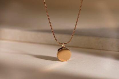 Pulvis Art Urns Pet Cremation Necklace – Paw | Stainless Steel | Memorial Jewelry | Brass Finish